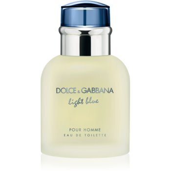 Dolce & Gabbana Light Blue eau de toilette / 40 ml / heren