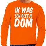 Bellatio Decorations Oranje Ik was een beetje dom sweater - Trui voor heren - Koningsdag kleding S