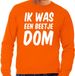 Bellatio Decorations Oranje Ik was een beetje dom sweater - Trui voor heren - Koningsdag kleding S