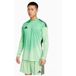 Adidas Maillot de gardien de but à manches longues Tiro25 Competition