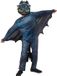 Rubies How to Train Your Dragon – Toothless-kostuum voor kinderen, maat 128