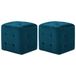 VidaXL Poef 2 stuks 30x30x30 cm fluweel blauw