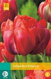 Jub Tulipa Red Princess bloembollen 7 bollen Tulp JUB