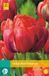 Jub Tulipa Red Princess bloembollen 7 bollen Tulp JUB