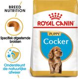 Royal Canin Cocker Puppy Hondenvoer - 4 x 3 kg