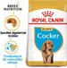Royal Canin Cocker Puppy Hondenvoer - 4 x 3 kg