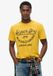 Superdry Copper Label T-shirt met tekst Heren XL Pigment Yellow Slub Katoen
