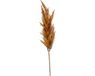 Emerald Pampasgras pluim losse steel/tak - roestbruin - 92 cm - Decoratie kunst bloemen/graspluimen