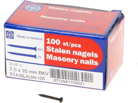Hoenderdaal Fasteners Hjz Stalen nagel bombe kop 20 x 2.0mm