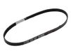 V-riem Piaggio V-riem waterpomp, 1A005573