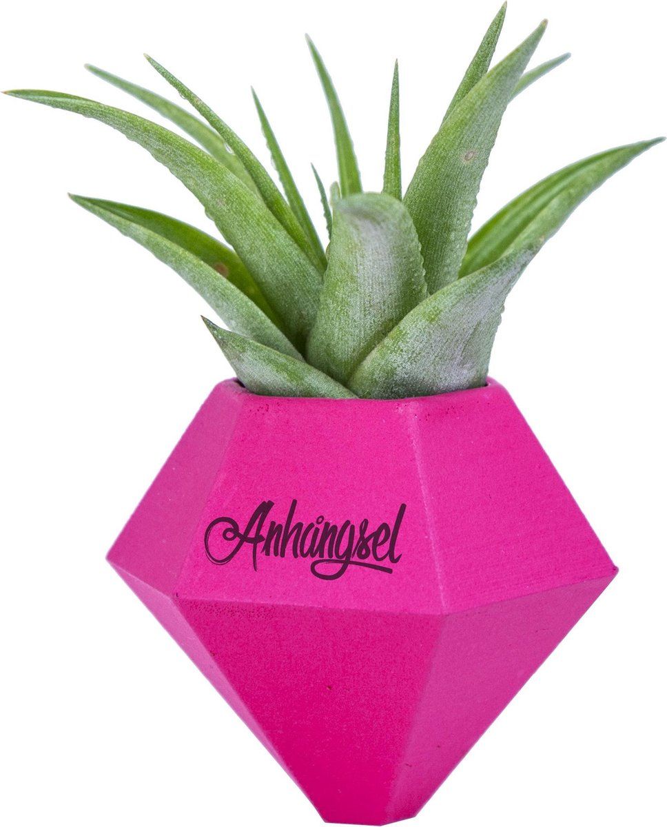 BOK Magnet Decoratieve Hanger - 6x6 cm - Pink