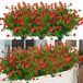 ArtBloom Kunstbloemen voor buiten, uv-bestendige kunstmatige buxusplanten, kunstmatig groen voor binnen en buiten, voor hangmanden, tuin, veranda, vensterbank, bruiloft, landelijke decoratie, 6