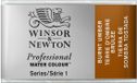 Winsor & Newton 0100076 Professional Water Colour, Bruin