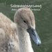 Schwanengesang – Verhalen en foto's, livre de poche, 220 pages