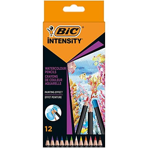 BIC Pennenetui met 12 kleurpotloden Intensity aquarelkleuren