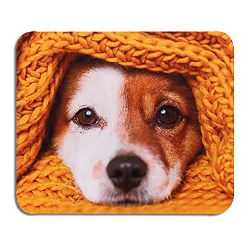 AOKSUNOVA Muismat Grappig Klein Muismat Ontwerp met Motief 240 x 200 mm