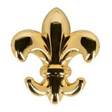 Spirella Lily Zelfklevende Badkamer Haak Goud