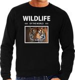 Bellatio Decorations Wildlife of the World Dieren foto sweater tijger - zwart - heren - M