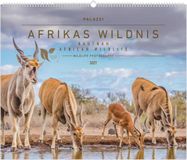 Hautnah Neumann Verlage GmbH & Co KG Hautnah - Afrikas Wildnis 2027
