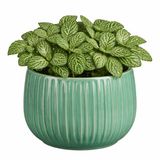 Mica Decorations Pot Pablo Céramique Vert Brillant Côtes D16 x H14 cm