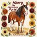Henry The Happy Heavy Horse