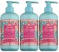 Tesori d’Oriente 3PACK Ayurveda Savon pour les mains 300ML