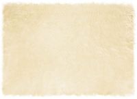vidaXL - Imitatie schapenvacht vloerkleed TAFALLA crèmekleurig polyester 120 x 170 cm