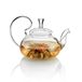 Tea Soul THEEKAN VAN GLAS MET STALEN HOES 500ml