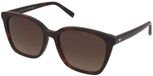Tommy Hilfiger TH 2226/S 086/HA Zonnebril Dames Zwart Bruin