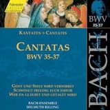 Outhere Hänssler Classic J.S. Bach: Cantatas Bwv 35-37 (CD)