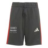 adidas Audi Revolut Formula One Team Dna S Shorts
