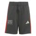adidas Audi Revolut Formula One Team Dna S Shorts