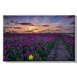 Homemania Muurfoto, motief: bloemen, natuur en landschap, voor woonkamer, slaapkamer, meerkleurig, 45 x 3 x 70 cm, HM20KNV45 x 70 – 210, polyester, hout