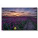Homemania Muurfoto, motief: bloemen, natuur en landschap, voor woonkamer, slaapkamer, meerkleurig, 45 x 3 x 70 cm, HM20KNV45 x 70 – 210, polyester, hout