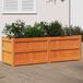 Maison Exclusive - Jardinière, brun chaud, 150x50x50 cm, pin massif