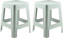 Plasticforte Tabouret - Set van 2 - Rotan Line - Vert menthe - Plastique - 45 cm de haut