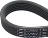 SKF VKMV 6DK1195 V-ribbed belt