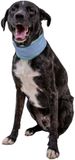 Ruffwear Swamp Cooler Neck Gaiter - Graphite Gray - XXS