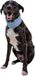 Ruffwear Swamp Cooler Neck Gaiter - Graphite Gray - XXS