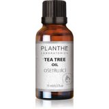 Planthé Hyaluronic Rejuvenating Serum 50ml