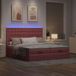 Maison Exclusive - Lit coffre avec matelas et éclairage LED, rose, 200x200 cm, velours