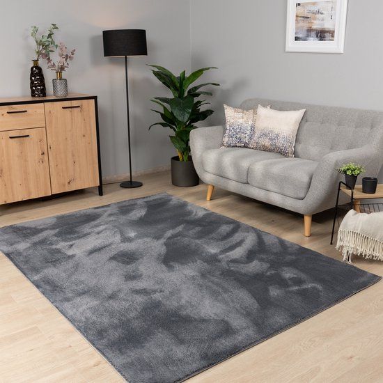 Paco Home Modern Rug - Low Pile - Washable - Anthracite - 120x170 cm