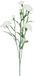 Mica Decorations Kunstbloem Anjer Floristic - H71 cm - wit