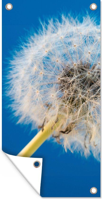GreatGardenPosters Tuinposter Paardenbloem - 80x160 cm - Bannerdoek - Landelijk