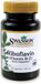 Swanson Health Vitamine B-2 100mg