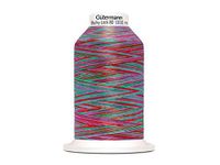 "Het Gütermann Bulky-Lock Multicolour bouwgaren No.80 rood-lichtgroen 1000m