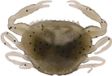 Berkley Gulp! Saltwater Peeler Crab - 5cm - Natural Peeler