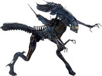 Neca Aliens Ultra Deluxe Action Figure Alien Queen 38 cm