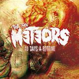 40 The Meteors - 40 Days a Rotting (LP, Standard Edition, Stereo, Hardrock, 2024)