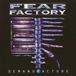 Fear Factory Demanufacture